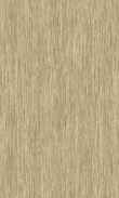 TO-Nutmeg Spice 0100_0029-1204