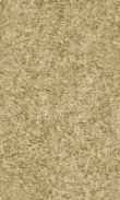 CC-Nutmeg Spice 0100_0050-1204