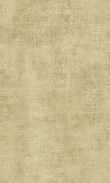 SS-Olive Wood 0100_0026-1060