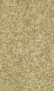 CC-Olive Wood 0100_0050-1060