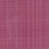 Opulence-Tearose