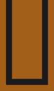 SCB-Orange Spice W/Blk Border 0018 0100_1111_0143