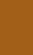 SC-Orange Spice 0100_1111_0143