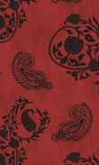 PF-Oriental Poppy 0100_0035_0019