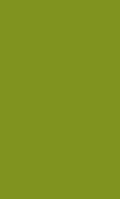 SB-Palm Frond 0100_1111_0294