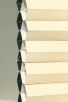 Papyrus-6202