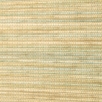 Pastel Blue-4104006
