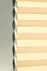 Pastel-6214