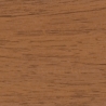 Pecan-12067410