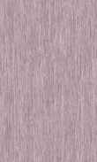 TO-Plum 0100_0029-1019