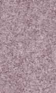CC-Plum 0100_0050-1019