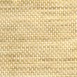 Poly Sands Shell-2101001