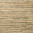 Poly Sands Woven Reeds-2101003