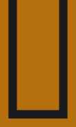 SCB-Pumpkin Pie W/Blk Border 0018 0100_1111_0155