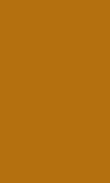 SC-Pumpkin Pie 0100_1111_0155