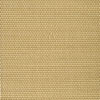 Misty Camel-R030