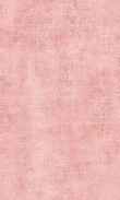 SS-Rasberry 0100_0026-1006