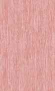 TO-Rasberry 0100_0029-1006