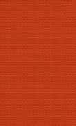BW-Red Delicious 0100_0021-1043