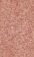 CC-Red Delicious 0100_0050-1043