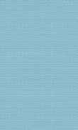 BW-Robin's Egg Blue 0100_0021-1137