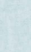 SS-Robin's Egg Blue 0100_0026-1137