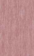 TO-Rose Velvet 0100_0029-1007