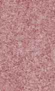 CC-Rose Velvet 0100_0050-1007