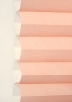 Rose-6512