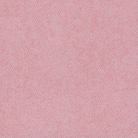 Satin-Teaberry