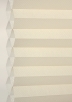 Seashell-6080