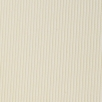 Shell-6126003