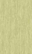 TO-Spanish Olive 0100_0029-1075