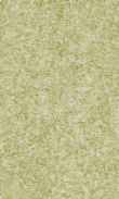 CC-Spanish Olive 0100_0050-1075
