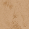 Suede Cocoa-6443