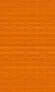 BW-Tangerine 0100_0021-1035