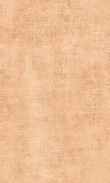 SS-Tangerine 0100_0026-1035