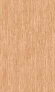 TO-Tangerine 0100_0029-1035