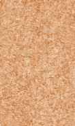 CC-Tangerine 0100_0050-1035