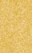 CC-Tiger Lily 0100_0050-1055