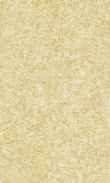 CC-Walnut Bark 0100_0050-1054