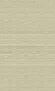 BW-Warm Gray 0100_0021-1077