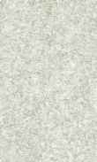 CC-Warm Gray 0100_0050-1077