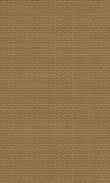 BW-Warm Toffee 0100_0021-1203