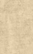 SS-Warm Toffee 0100_0026-1203