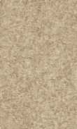 CC-Warm Toffee 0100_0050-1203