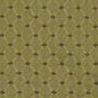G2-Waterloo Dot_olive