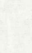 SS-Winter White 0100_0026-1195