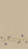 TB-Wisteria 0100_0039_0014