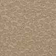 20632230-Parchment